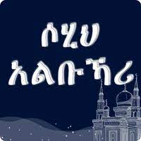 Bunker Hack Aviator APK APK